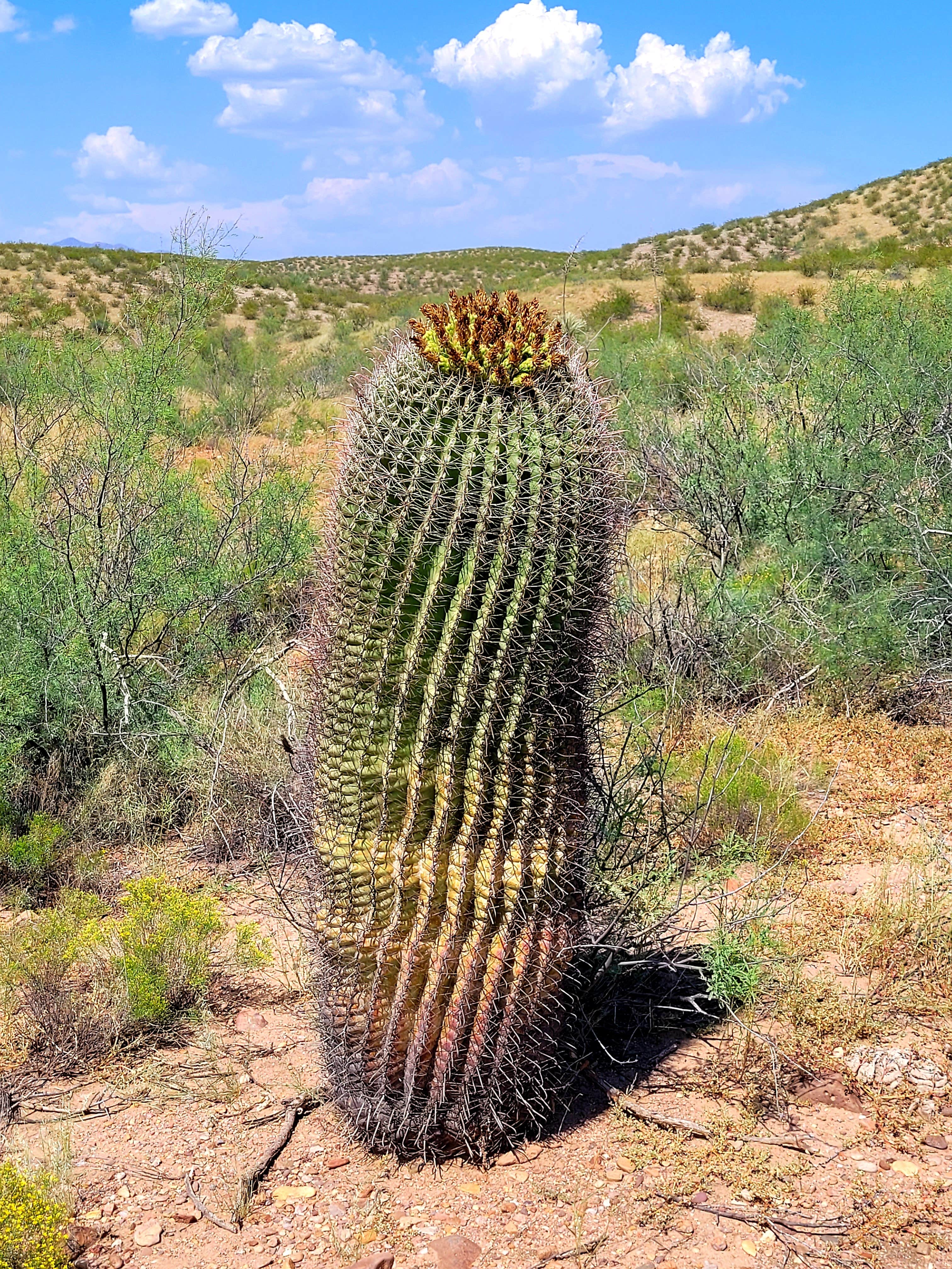 Owl Creek Campground