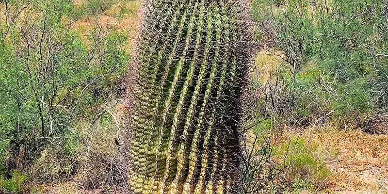 Camper submitted image from Owl Creek Campground