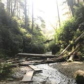 Review photo of Gold Bluffs Beach Campground — Prairie Creek Redwoods State Park by Darin D., June 29, 2018