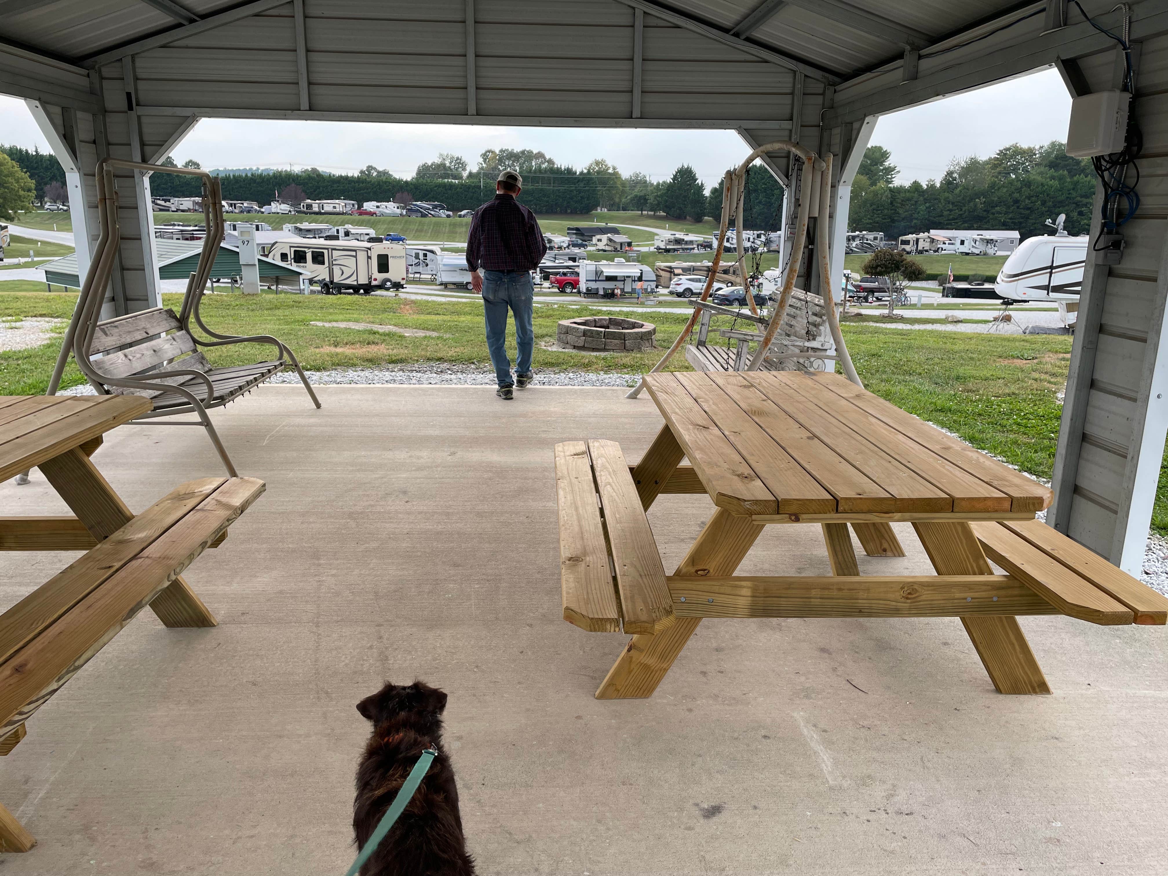 Lucile F.'s photo of camping with pets at Mayberry Campground near Cana, VA