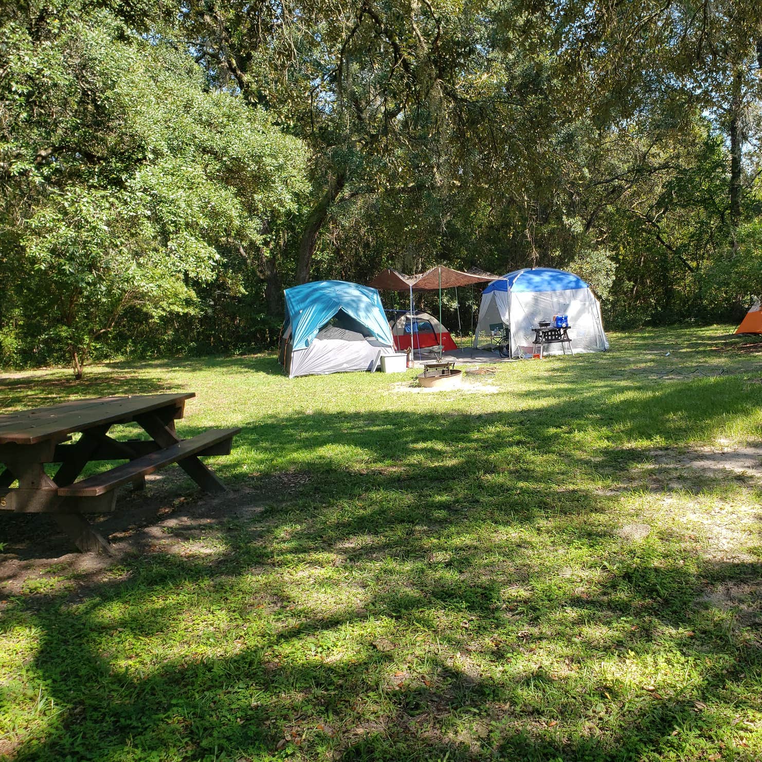 Holder Mine Campground Camping | The Dyrt