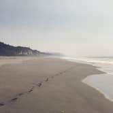 Review photo of Gold Bluffs Beach Campground — Prairie Creek Redwoods State Park by Darin D., June 29, 2018