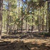 Review photo of Lava Flat Dispersed Camping Area by Amanda , September 16, 2021