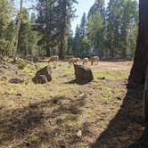 Review photo of Lava Flat Dispersed Camping Area by Amanda , September 16, 2021