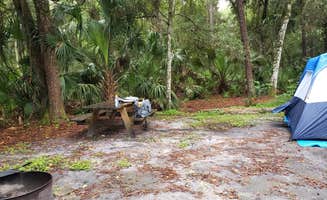 Anita's photo of tent camping at Hillsborough River State Park Campground near Tampa, FL