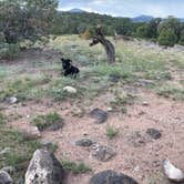 Review photo of Cathedral Valley Campground — Capitol Reef National Park by James O., September 16, 2021