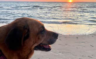Alexa D.'s photo of camping with pets at Cape Charles / Chesapeake Bay KOA in Virginia