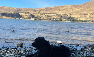 Jenna M.'s photo of camping with pets at Celilo Park Recreation Area near The Dalles, OR