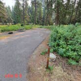 Review photo of Logan State Park Campground by Nancy C., September 16, 2021