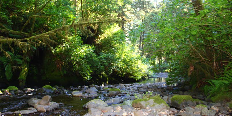 Camper submitted image from Rock Creek - Rogue River