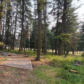 Review photo of Logan State Park Campground by Nancy C., September 16, 2021