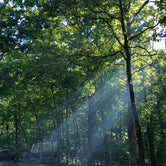 Review photo of Cloudland Canyon State Park Campground by Caitlin , September 17, 2021