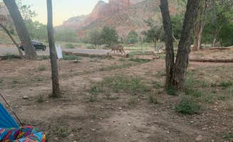Court R.'s photo at South Campground — Zion National Park near Zion National Park