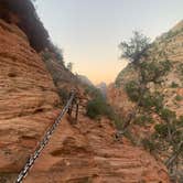 Review photo of South Campground — Zion National Park by Court R., September 17, 2021