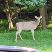 Review photo of Elk Neck State Park Campground by JayLando , September 17, 2021