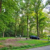 Review photo of Elk Neck State Park Campground by JayLando , September 17, 2021