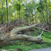 Review photo of Elk Neck State Park Campground by JayLando , September 17, 2021