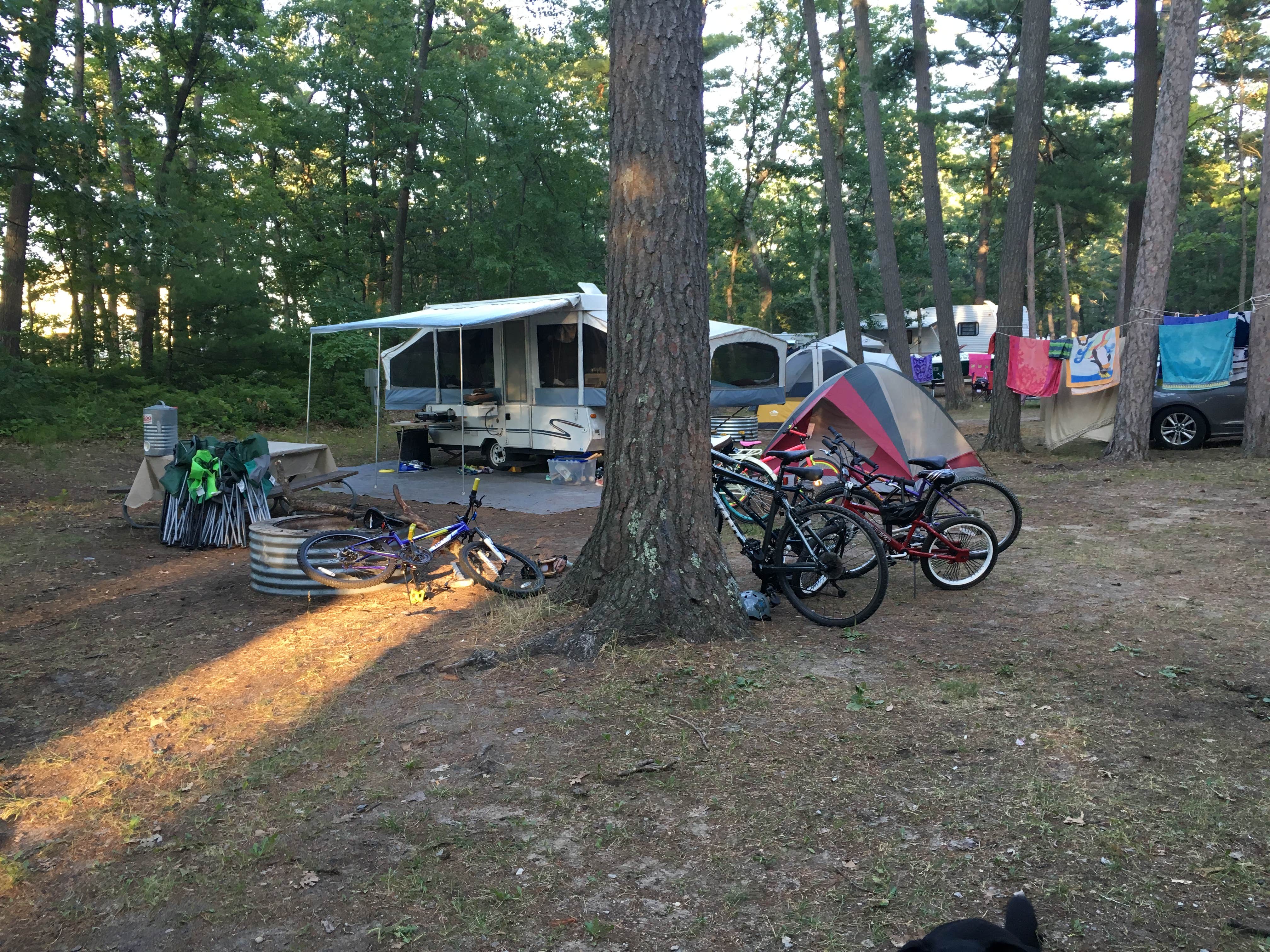 Camper submitted image from Traverse City State Park - 4