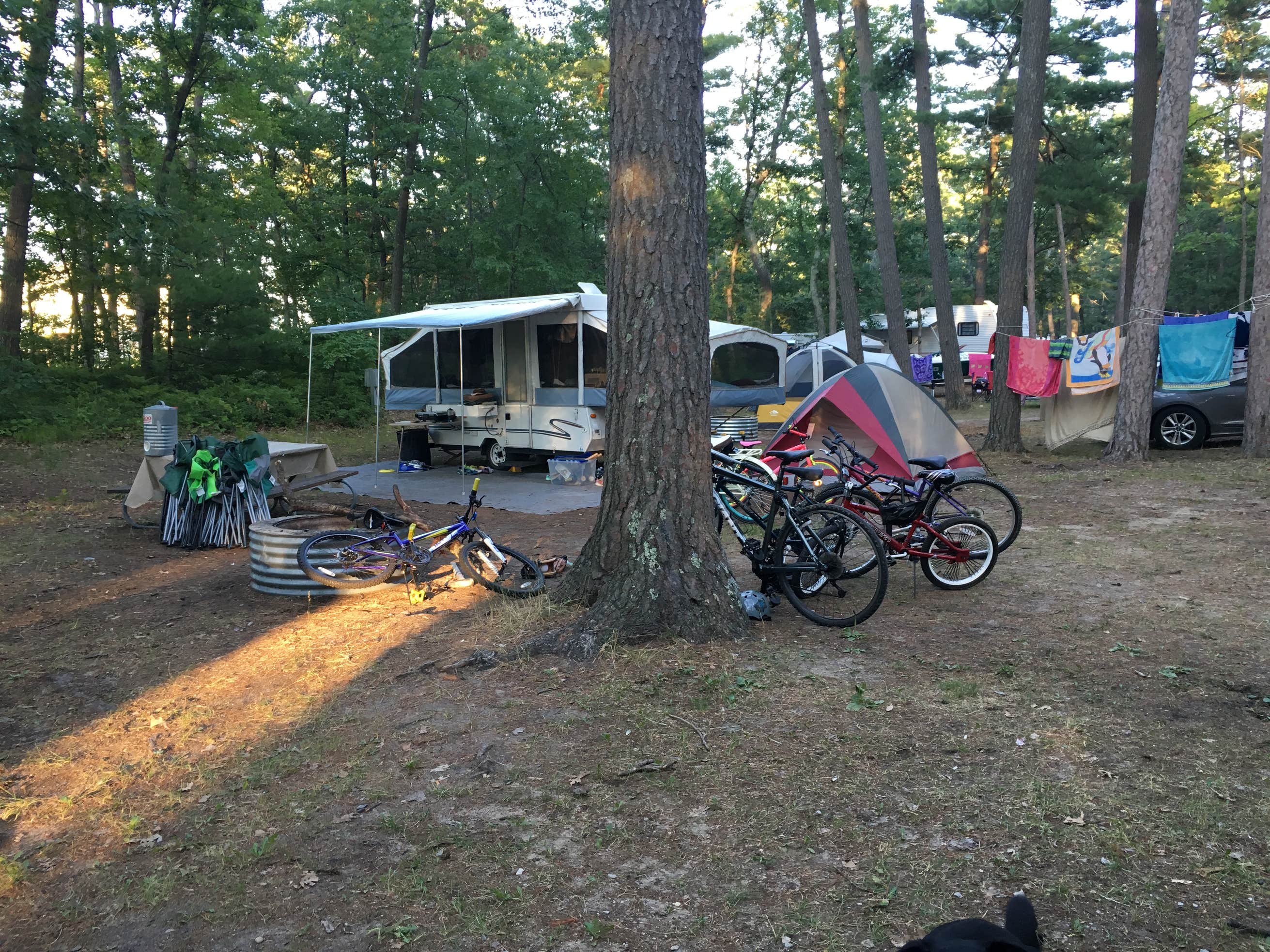 Traverse City State Park Camping The Dyrt