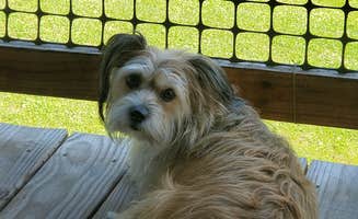Patricia's photo of camping with pets at Crooked Creek Lake near Gibsonia, PA