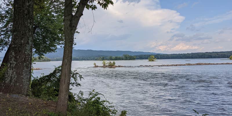 Camper submitted image from Ferryboat Campsites