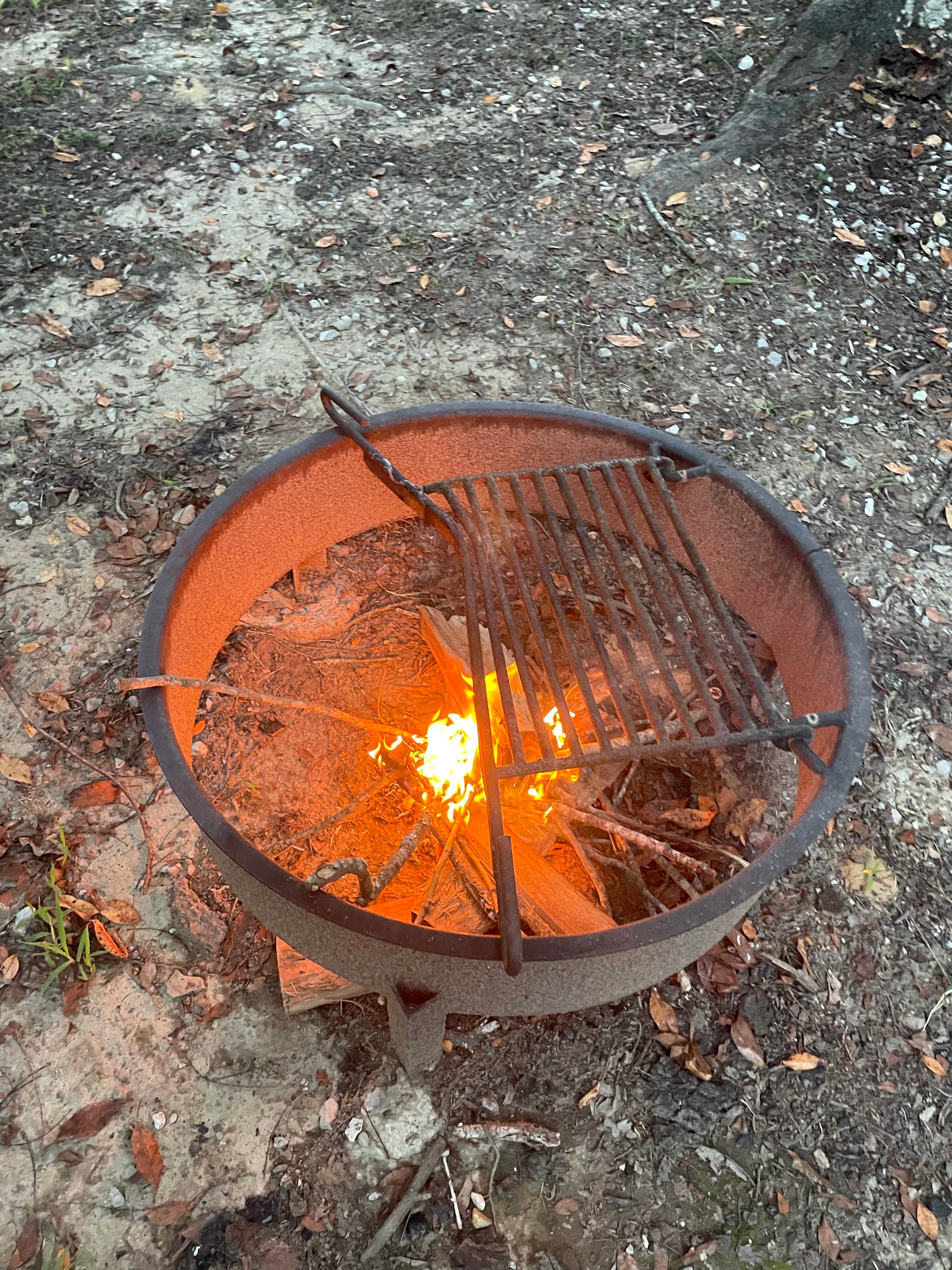 Camper submitted image from Willow Grove Campground - 3