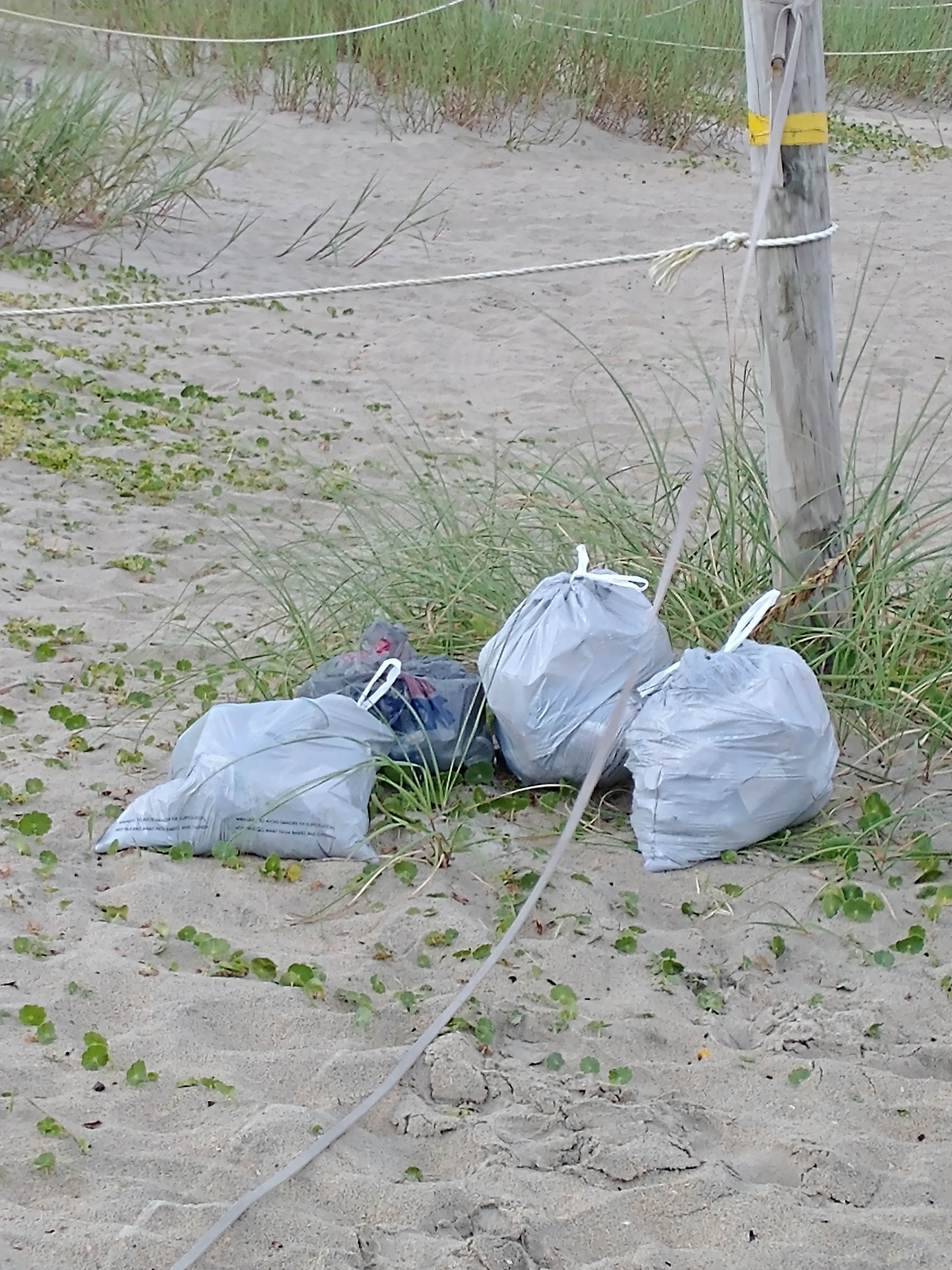 Jeannie's photo of tent camping at Freeman Park near Wrightsville Beach, NC