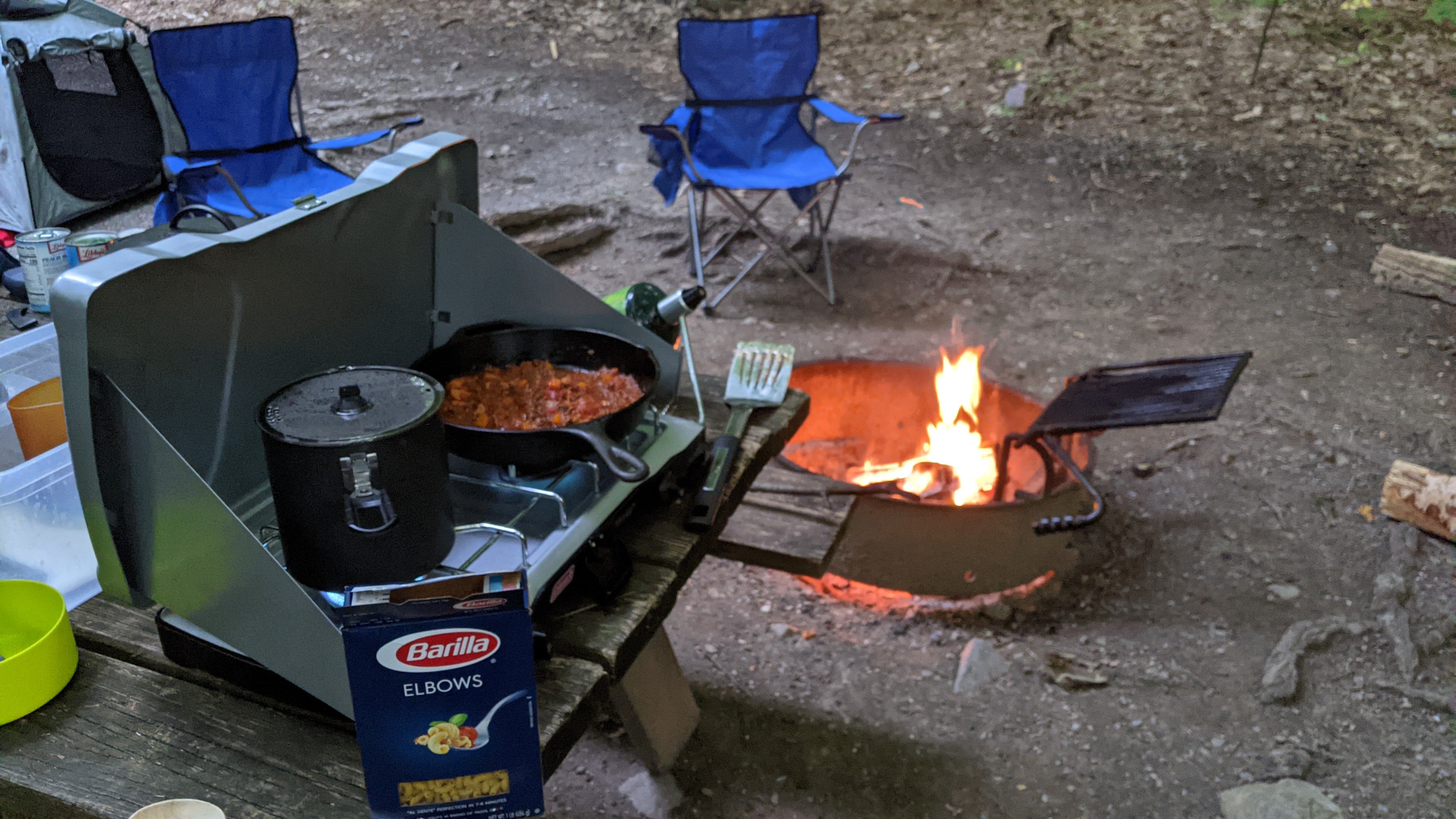 Camper submitted image from Mount Philo State Park Campground - 1