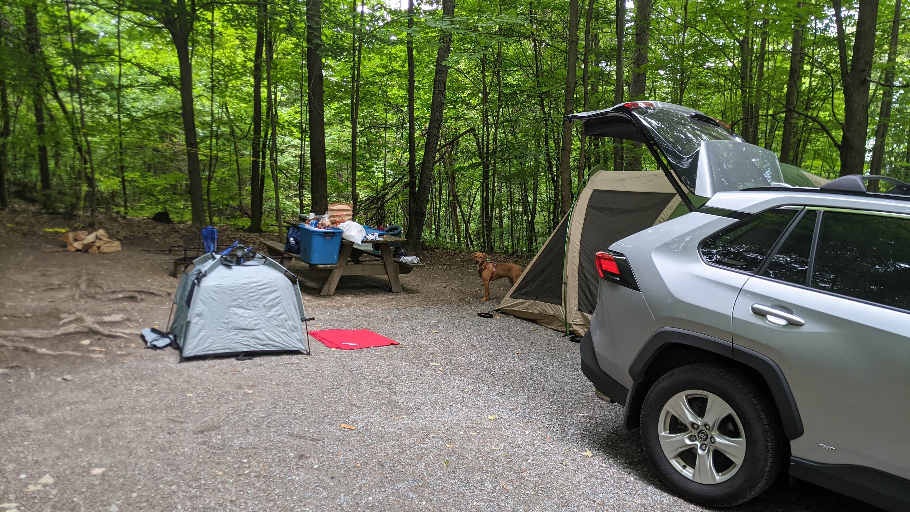 Drew Q.'s photo of tent camping at Mount Philo State Park Campground near Hancock, VT