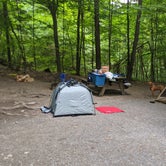 Review photo of Mount Philo State Park Campground by Drew Q., September 17, 2021