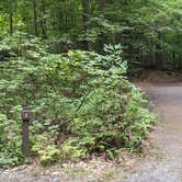 Review photo of Mount Philo State Park Campground by Drew Q., September 17, 2021