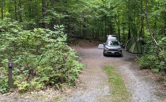 Drew Q.'s photo of tent camping at Mount Philo State Park Campground near Loon Lake, NY