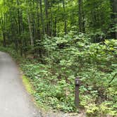 Review photo of Mount Philo State Park Campground by Drew Q., September 17, 2021