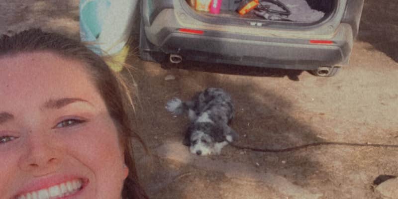 Camper submitted image from Rim Road Ridge