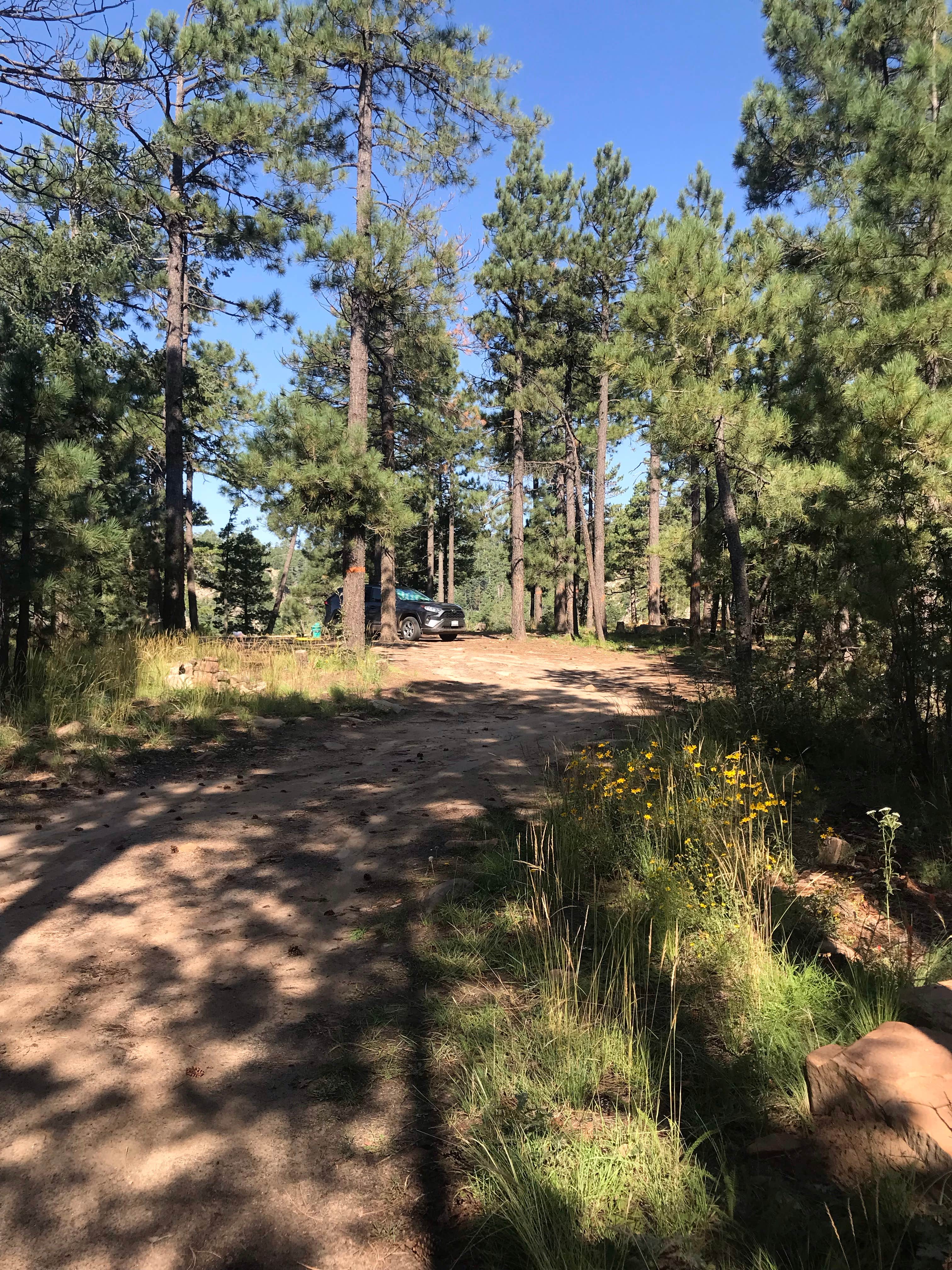 Camper-submitted photo at Rim Road Ridge near Kohls Ranch, AZ