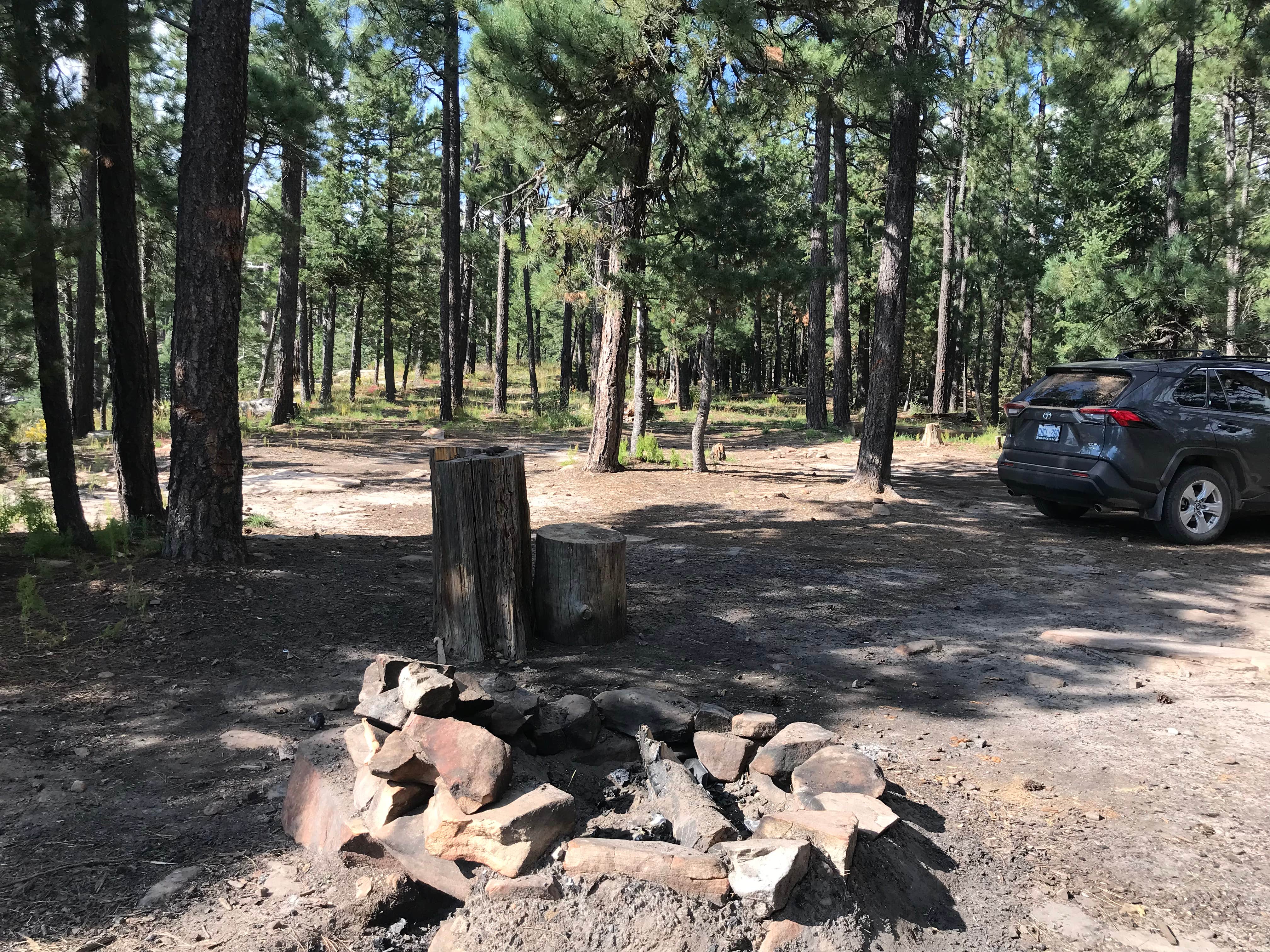 Camper-submitted photo at Rim Road Ridge near Kohls Ranch, AZ