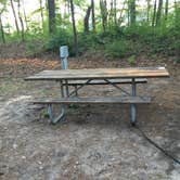 Review photo of Traverse City State Park Campground by Judy  B., July 21, 2016