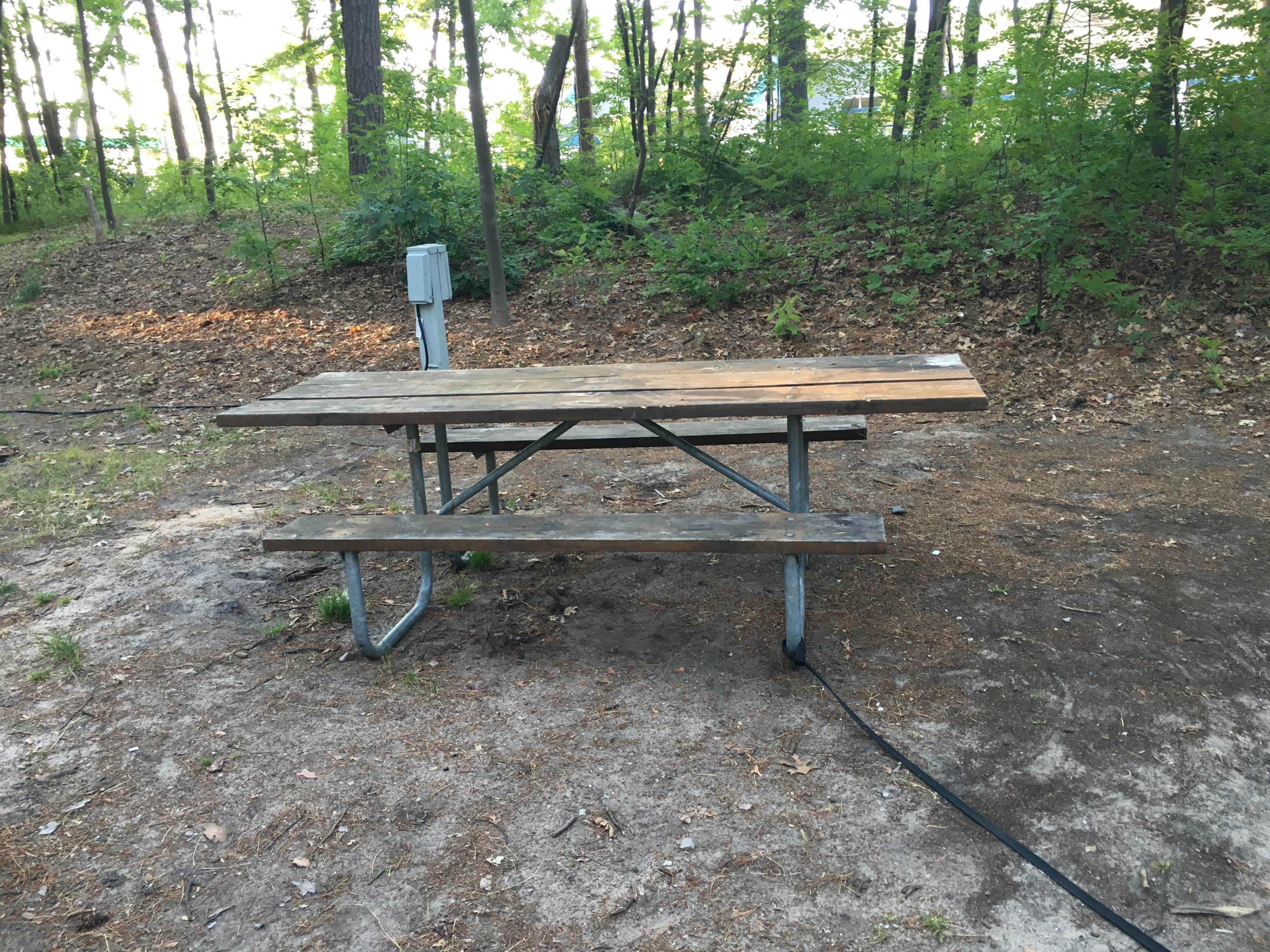Camper submitted image from Traverse City State Park Campground - 3