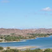 Review photo of BLM Imperial Dam Long Term Visitor Area (LTVA) by Dee W., September 17, 2021