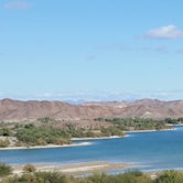 Review photo of BLM Imperial Dam Long Term Visitor Area (LTVA) by Dee W., September 17, 2021