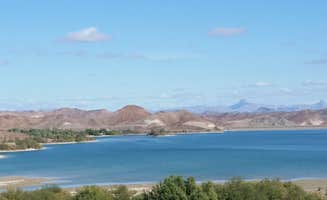 Dee W.'s photo of a dispersed camping area at BLM Imperial Dam Long Term Visitor Area (LTVA) near Wellton, AZ