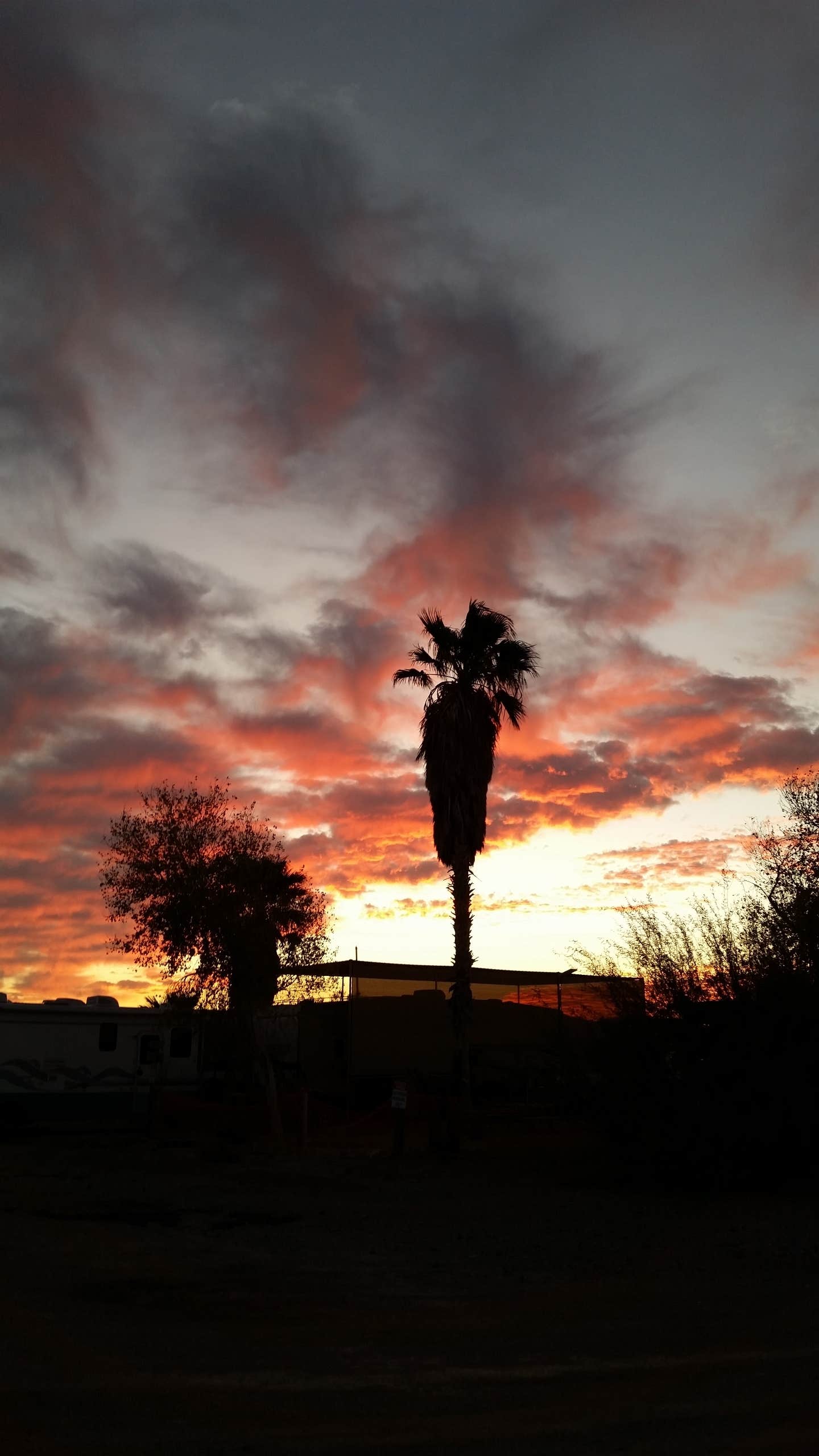 Camper-submitted photo at BLM Imperial Dam Long Term Visitor Area (LTVA) near Winterhaven, CA