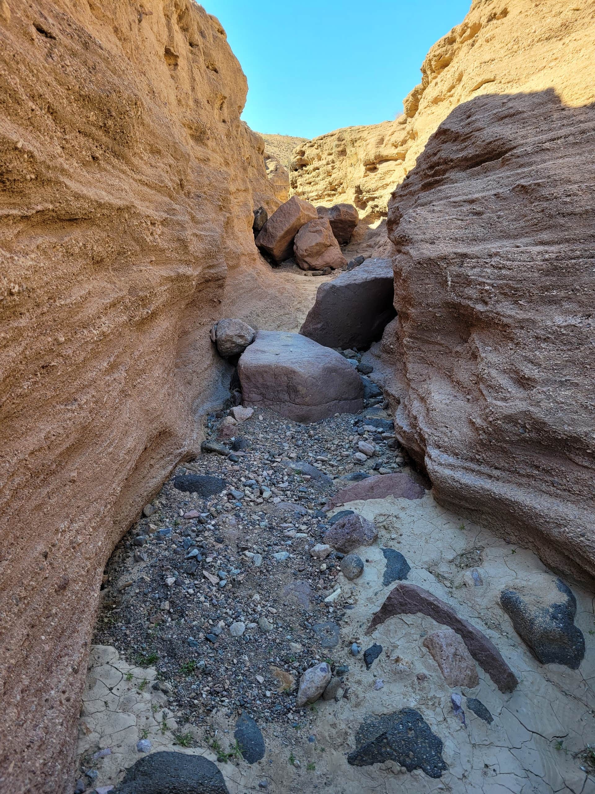 Camper submitted image from BLM Imperial Dam Long Term Visitor Area (LTVA) - 4