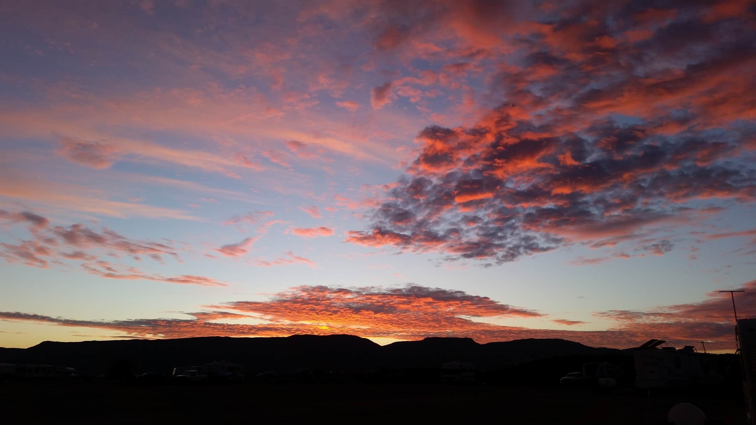 Dee W.'s photo of a dispersed camping area at BLM Imperial Dam Long Term Visitor Area (LTVA) near Winterhaven, CA