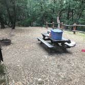 Review photo of Uvas Canyon County Park by Darin D., June 29, 2018