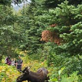 Review photo of Heart of Glacier RV Park & Cabins by Nancy C., September 17, 2021