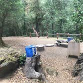 Review photo of Uvas Canyon County Park by Darin D., June 29, 2018