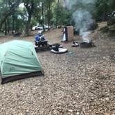 Review photo of Uvas Canyon County Park by Darin D., June 29, 2018