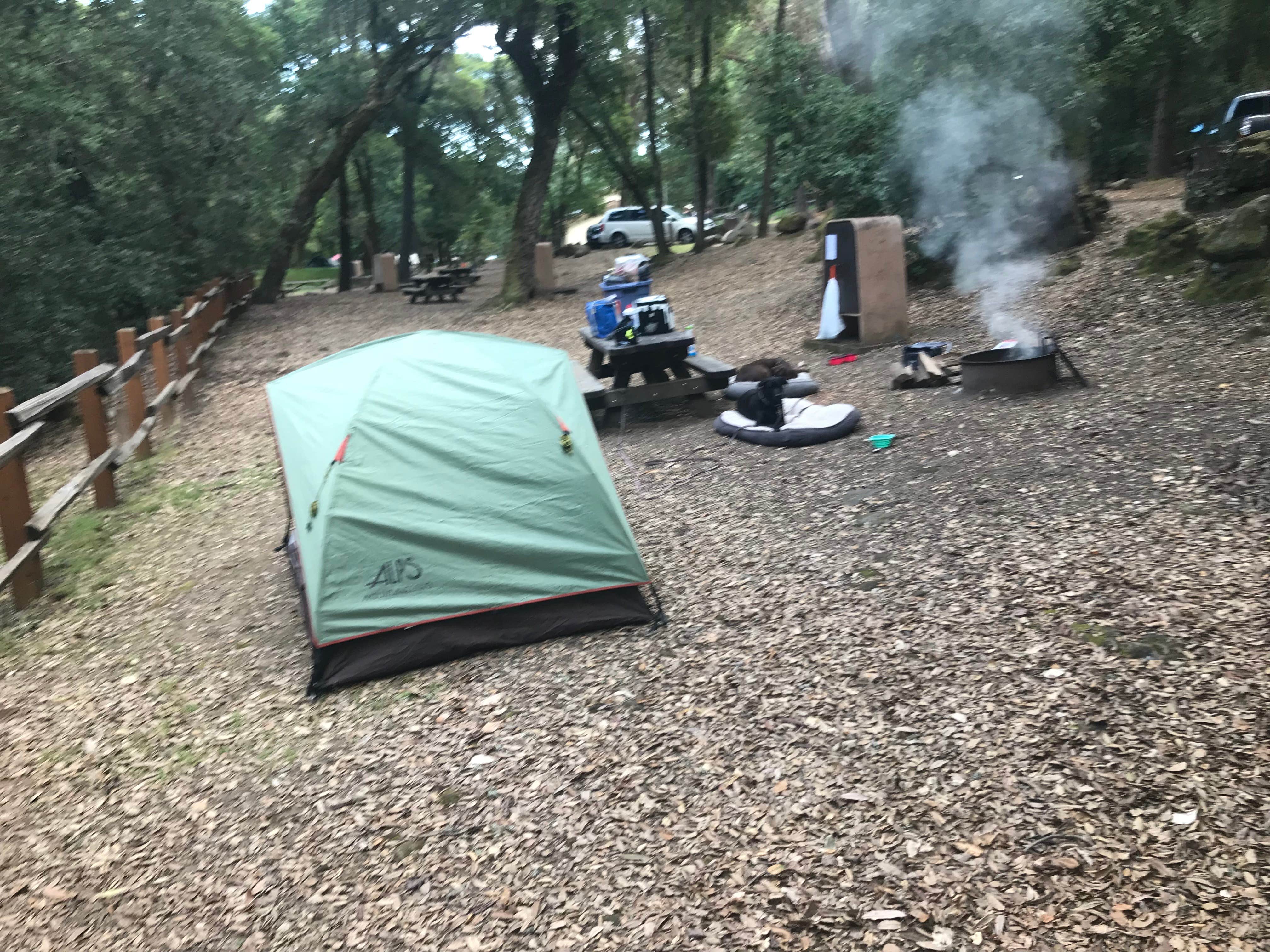 Camper submitted image from Uvas Canyon County Park - 3