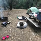 Review photo of Uvas Canyon County Park by Darin D., June 29, 2018